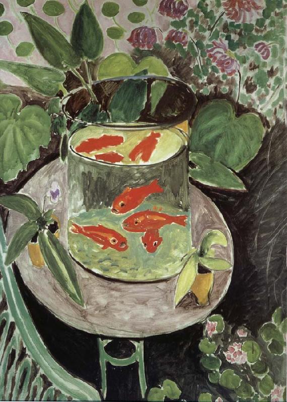 Henri Matisse Fish oil painting image